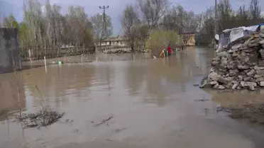 Muş'ta Sel ve Su Baskını