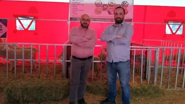 Yenişehir Küçükbaş Hayvancılık Fuarının Gözdesi Oldu