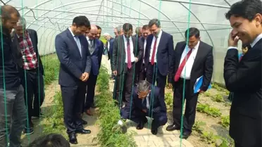 Vali Bektaş Lise Öğrencilerine Tavsiyelerde Bulundu