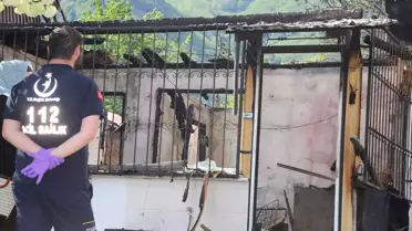 Ordu'da Yangın