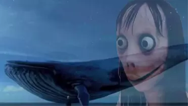 5 Ayrı Bakanlık Momo, Mavi Balina Gibi Siber Tehditlere Karşı Harekete Geçti