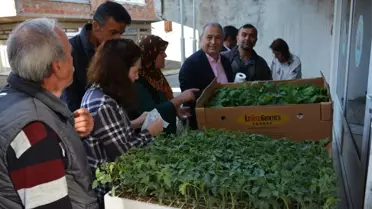 Kabadüz'de Çiftçilere 4 Bin Sebze Fidesi