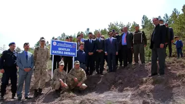 Şehitler Anısına 1919 Çam Fidanı Dikildi