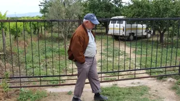Yüksek Erik Fiyatı Hırsızların İştahını Kabarttı