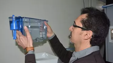 Zebra Balığıyla Nanoteknolojinin Etkileri Araştırılacak