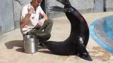 Fok ile Bakıcısının Dostluğu