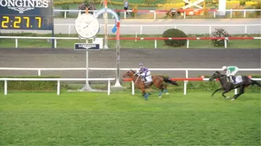 Tjk'den Engelliler Haftası'na Özel Etkinlikler