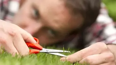 Mükemmeliyetçi Aile Takıntı Hastalığına Neden Oluyor !