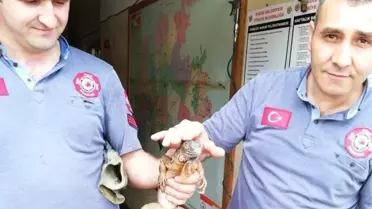 Düzce'de İtfaiye Ekipleri Eşine Az Rastlanır Bir Olayla Karşılaştı