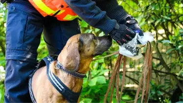 Polis Köpeği Yüzünü Isırmıştı! Tazminatı Belli Oldu