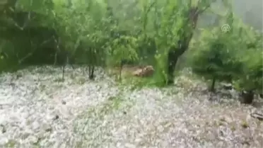Ordu'da Ceviz Büyüklüğünde Dolu Yağdı