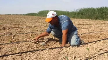 Ramazanda Tarım İşçilerinin Zorlu Mesaisi