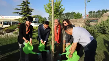 Dostluğun 10'Uncu Yılı Anısına Çınar Ağacı