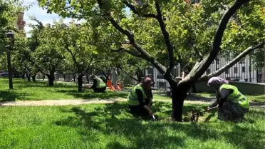 Kadınlar Nostalji Bahçelerine çocukları gibi bakıyor