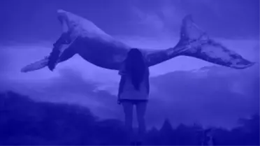 Mavi Balina Oyununun İntihara Sürükleyen Talimatı TBMM Gündemine Geldi