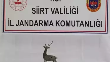 Siirt'te bronz geyik heykeli ele geçirildi