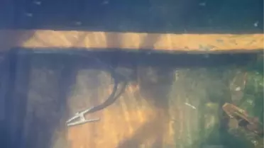 Dünyanın en zor mesleklerinden biri; su altı kaynakçılığı