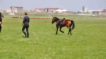 Kars'ta, at yarışları yapıldı