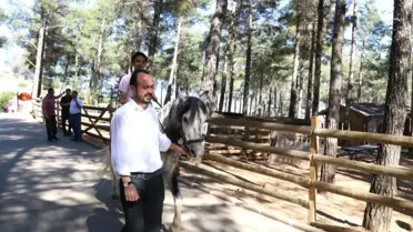 Kahramanmaraş'ta mini hayvanat parkı