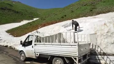 Dağlardan Topladıkları Karları İlçede Satıyorlar