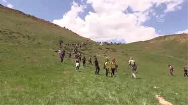 Dağların süsü ters laleler görenleri büyülüyor - TUNCELİ