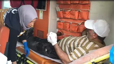 Kontrolden çıkıp dereye uçtu