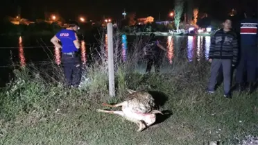 Gölette aranan çobanın arama çalışmalarına ara verildi