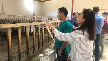 Veteriner hekimlerden koyun çiftliğine ziyaret