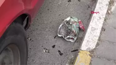 ANTALYA Park halindeki kamyoneti yakmak istediler