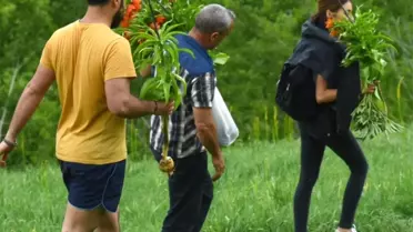 Ters laleleri koparıp götüren 3 kişiye 180 bin TL para cezası