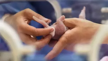 Çin'de 2019'un ilk pandası dünyaya geldi