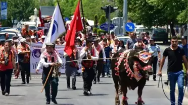 Muğla'da Yörük göçü canlandırıldı