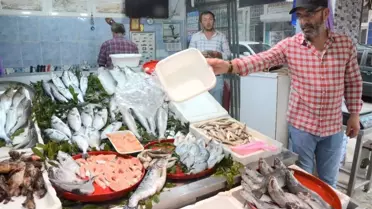 Ordu'da balık çok ama talep yok