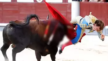 İspanyda'da matador, şov yapayım derken canından oluyordu!