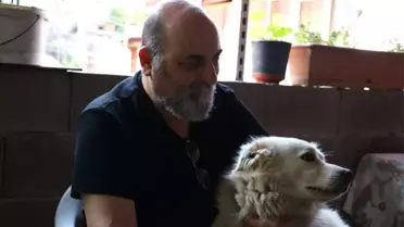 Sahiplendiği köpeğe iki ay sonra kavuşan hayvansever kayıp diğer iki köpeğini de arıyor