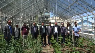Devlet korumasındaki çocuklardan çilek tarlası projesi