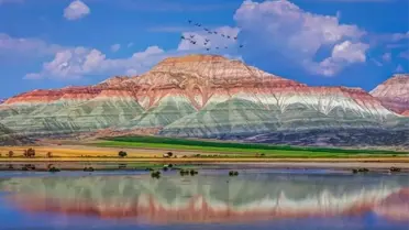 6. Nallıhan Foto Safari Yarışması başlıyor