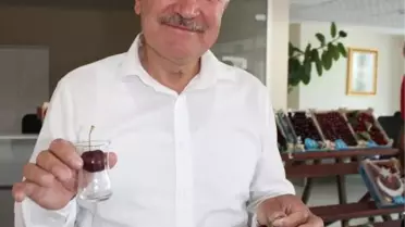 Lapseki kirazı, çay bardağına sığmadı