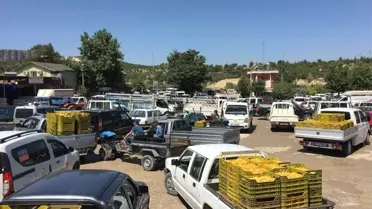 Mut Sebze ve Meyve Toptancı Hali ihtiyaca cevap vermiyor