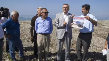 Caretta carettalar için havai fişek yasağı