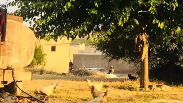 Şanlıurfa'da terör operasyonu: 9 gözaltı