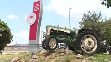 30 yıl önce 'uyutulan' tohumlar toprakla buluştu