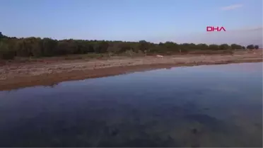 BALIKESİR ÇİÇEK ADASI'NIN SATIŞINA AİLELER KARAR VERECEK