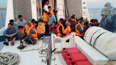Ayvalık'ta 46 kaçak göçmen yakalandı