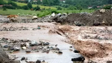 Bolu'da selin yaraları sarılıyor