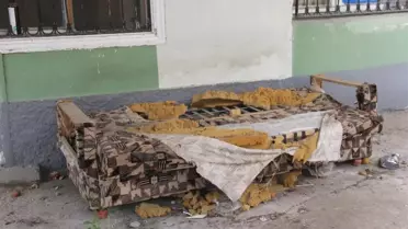 Bahçeye atılan kanepeyi köpek parçalayınca altınlar ortaya çıktı