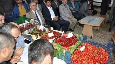 Kiraz, Vişne ve Ceviz Festivali