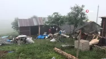 Honefter Yaylası'ndaki inek ölümleri yayla sakinlerini korkutuyor