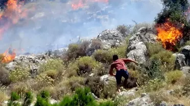Balıkesir'de korkutan orman yangını