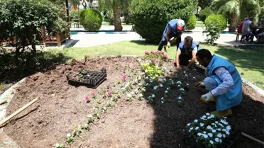 Haliliye Belediyesi ilçeyi çiçeklerle süslüyor